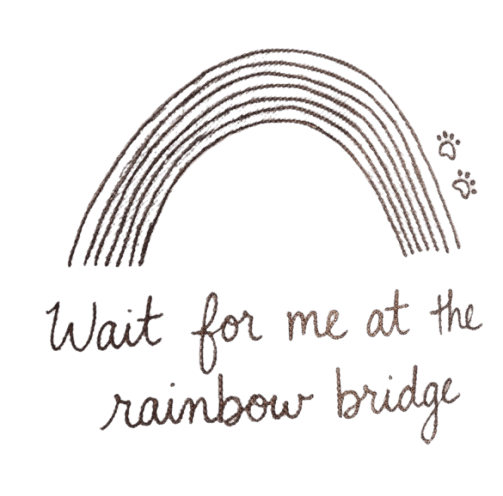 Drawing on a CliniCareBag: a rainbow with paw prints and the words "Wait for me at the rainbow bridge"